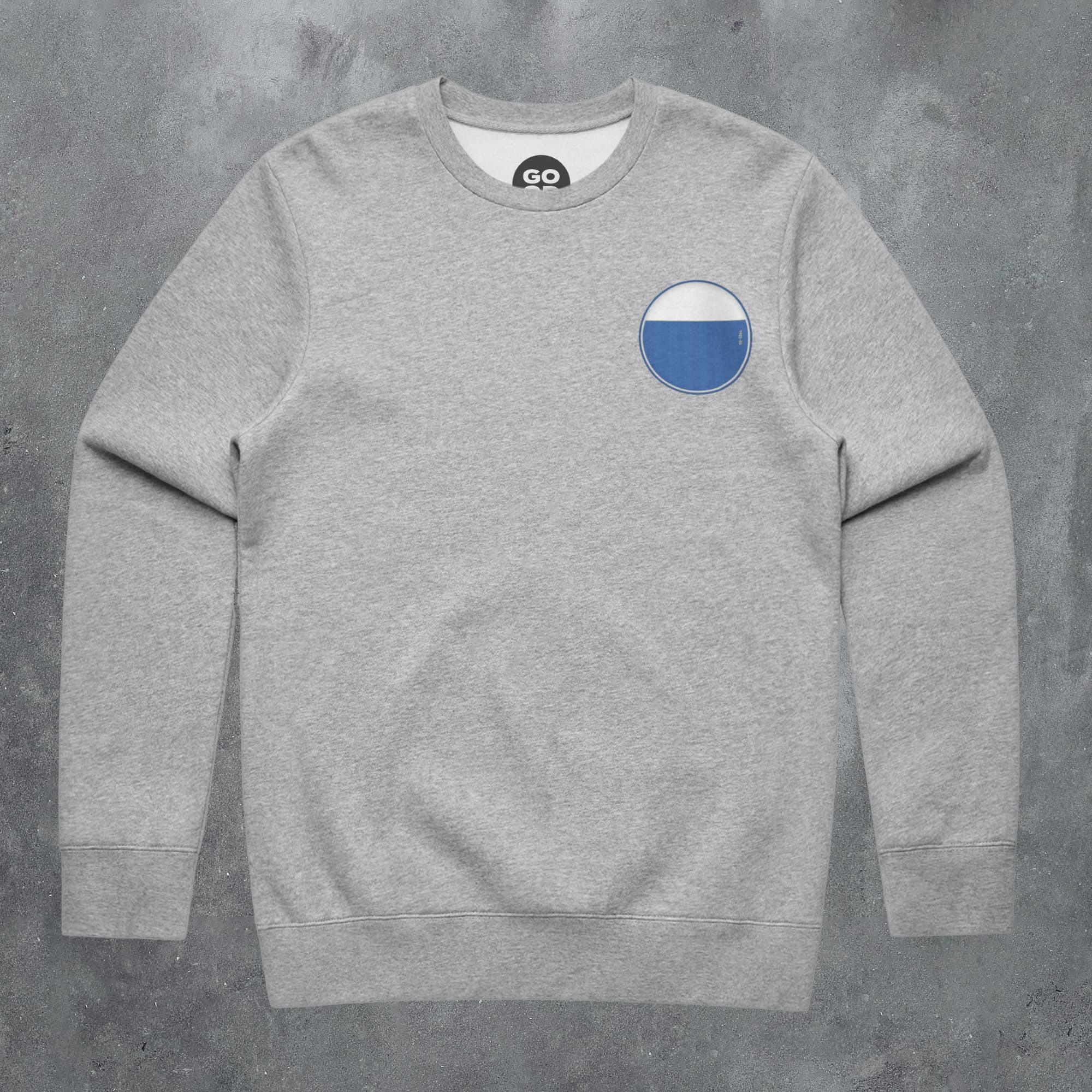 a grey sweatshirt with a blue circle on the chest